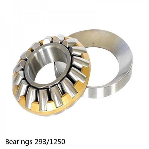 Bearings 293/1250 #1 image