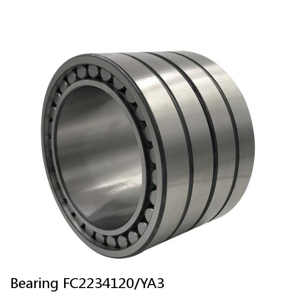 Bearing FC2234120/YA3 #1 image