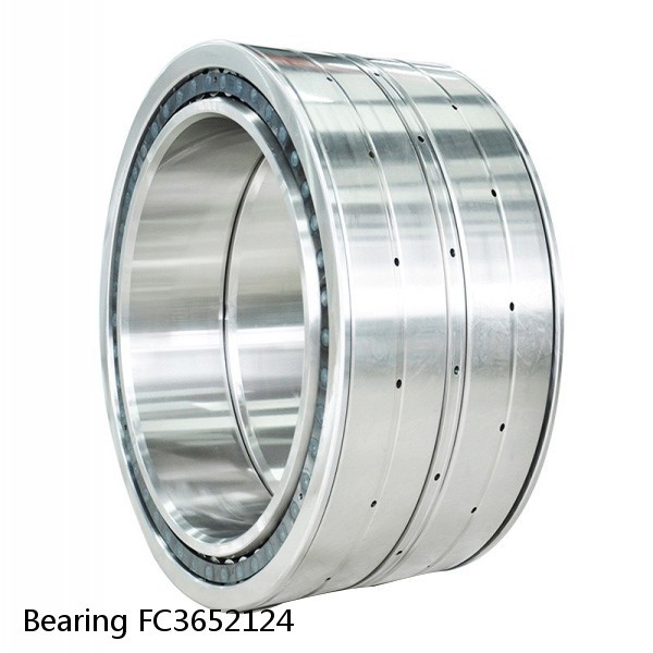 Bearing FC3652124 #1 image