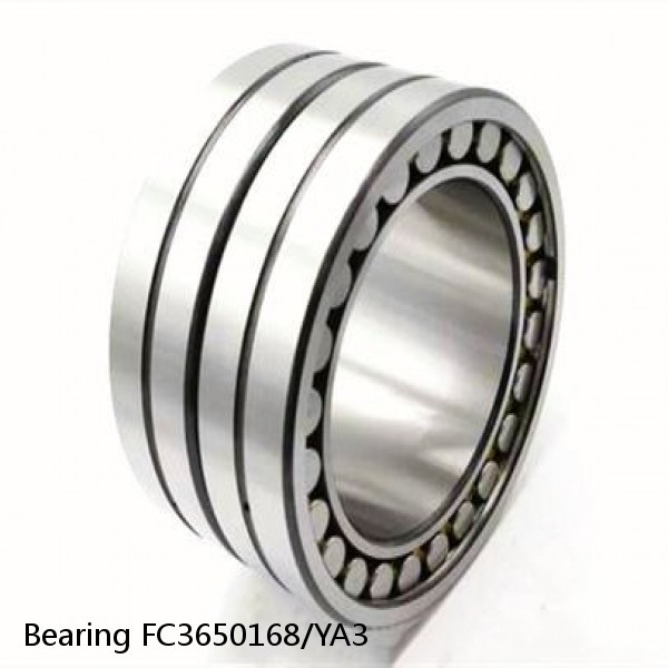 Bearing FC3650168/YA3 #1 image