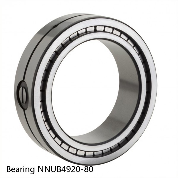 Bearing NNUB4920-80 #1 image