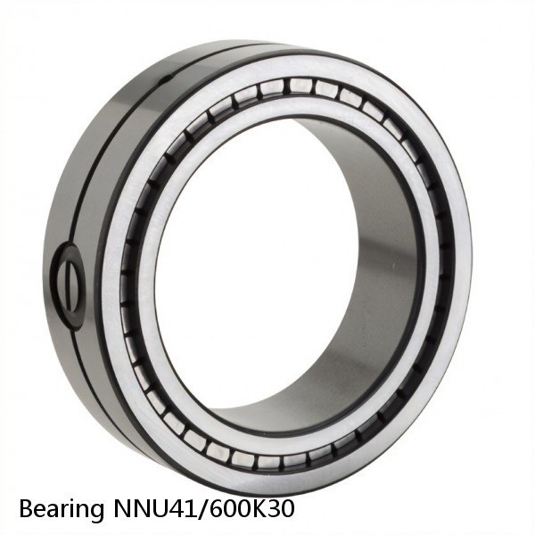 Bearing NNU41/600K30 #2 image