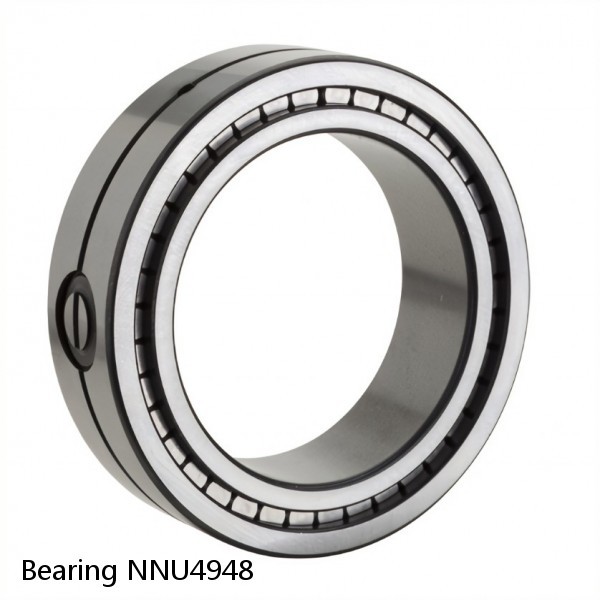 Bearing NNU4948 #1 image