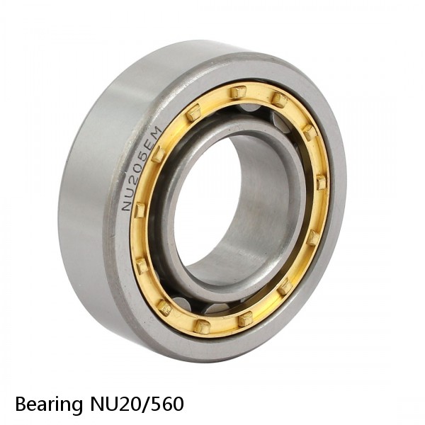 Bearing NU20/560 #1 image