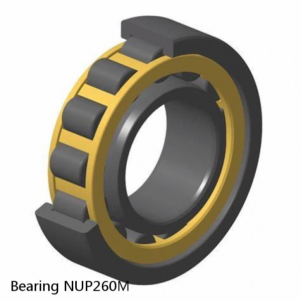 Bearing NUP260M #1 image
