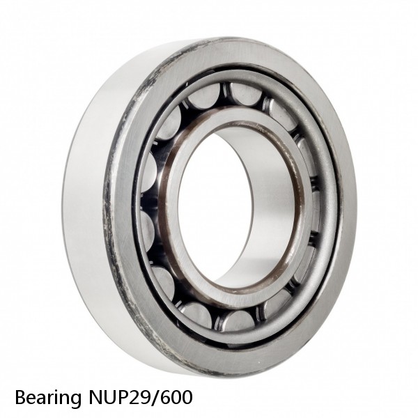 Bearing NUP29/600 #1 image