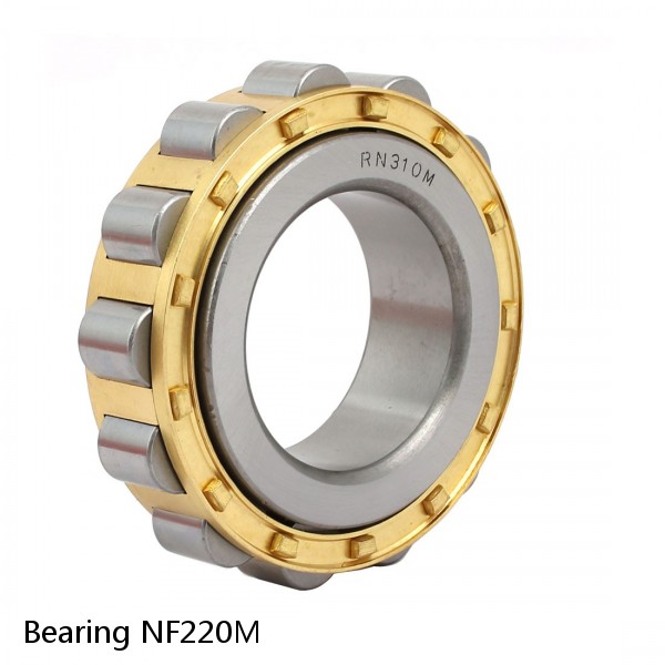 Bearing NF220M #1 image