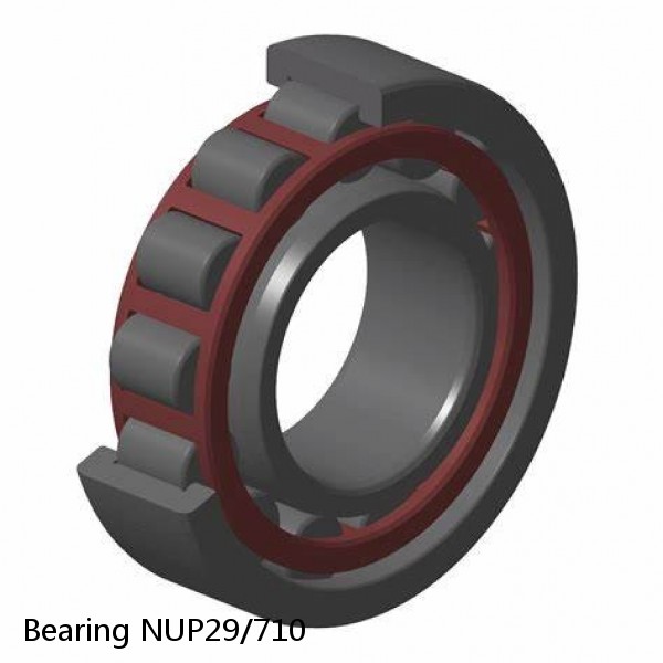 Bearing NUP29/710 #1 image